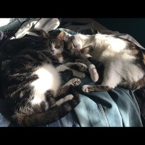 Meet your Posher, Terri